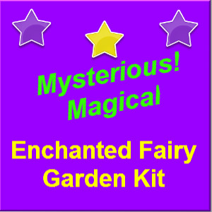 Enchanted Fairy Garden Kit