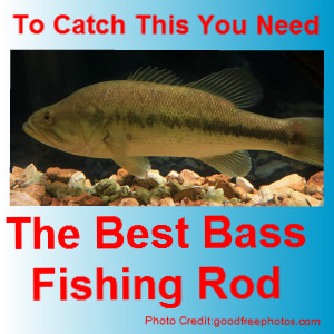 Best Bass Fishing Rod